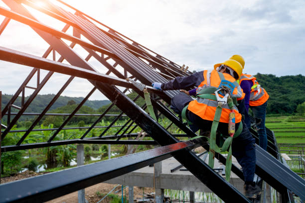 Best Roof Gutter Cleaning  in Jonesville, VA