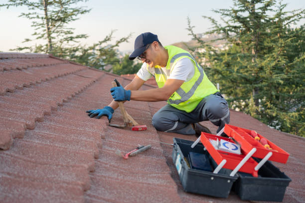 Best Metal Roofing Contractor  in Jonesville, VA